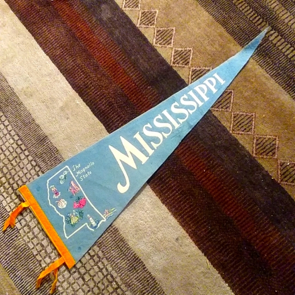 Vintage Souvenir Pennant